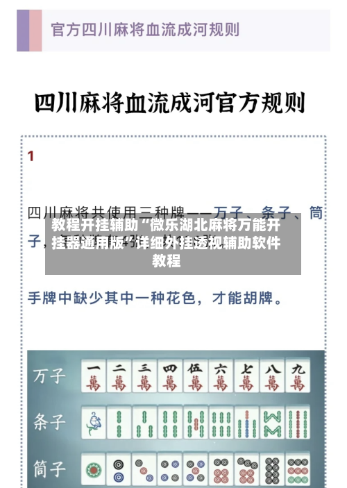 教程开挂辅助“微乐湖北麻将万能开挂器通用版”详细外挂透视辅助软件教程-第3张图片