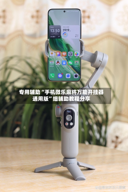 专用辅助“手机微乐麻将万能开挂器通用版”细辅助教程分享-第3张图片