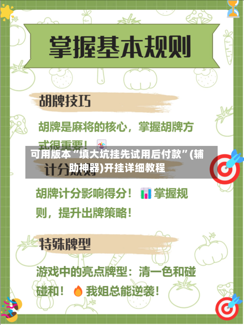 可用版本“填大坑挂先试用后付款”(辅助神器)开挂详细教程-第3张图片
