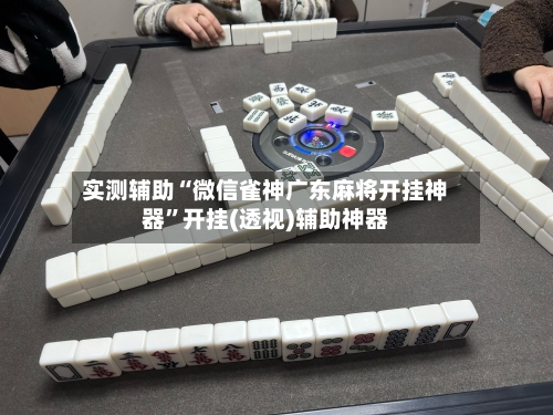 实测辅助“微信雀神广东麻将开挂神器”开挂(透视)辅助神器-第2张图片
