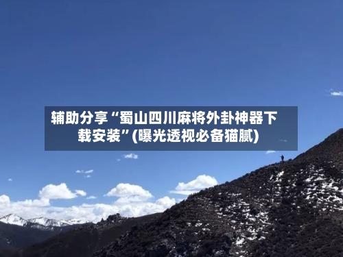 辅助分享“蜀山四川麻将外卦神器下载安装	”(曝光透视必备猫腻)-第3张图片