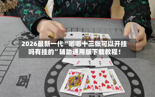 2026最新一代“嘟嘟十三张可以开挂吗有挂的”辅助通用版下载教程！