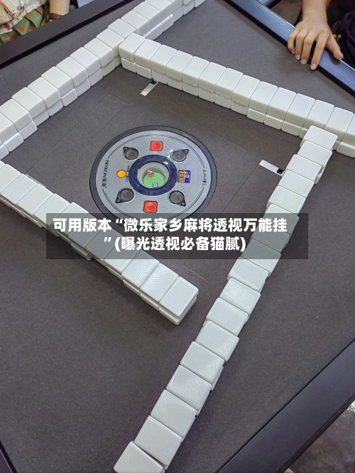 可用版本“微乐家乡麻将透视万能挂	”(曝光透视必备猫腻)-第2张图片