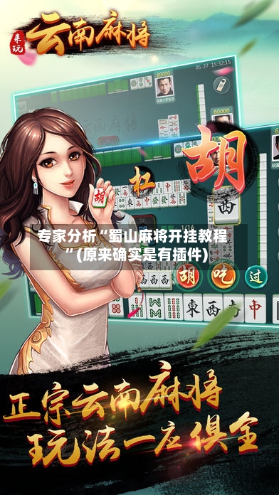 专家分析“蜀山麻将开挂教程	”(原来确实是有插件)-第2张图片