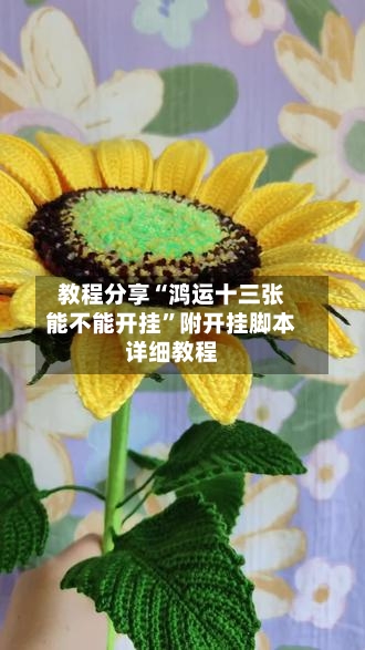 教程分享“鸿运十三张能不能开挂”附开挂脚本详细教程-第2张图片