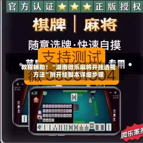 教程辅助！“湖南微乐麻将开挂透视方法”附开挂脚本详细步骤-第2张图片