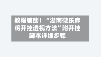 教程辅助！“湖南微乐麻将开挂透视方法”附开挂脚本详细步骤-第3张图片