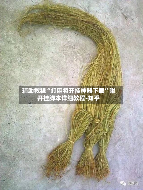 辅助教程“打麻将开挂神器下载”附开挂脚本详细教程-知乎-第2张图片