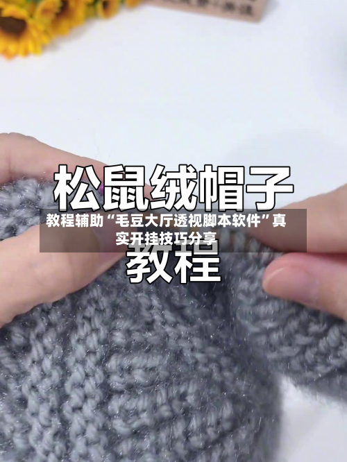 教程辅助“毛豆大厅透视脚本软件	”真实开挂技巧分享-第2张图片