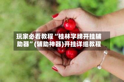 玩家必看教程“桂林字牌开挂辅助器”(辅助神器)开挂详细教程-第3张图片