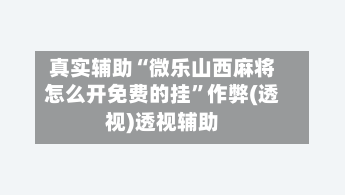 真实辅助“微乐山西麻将怎么开免费的挂”作弊(透视)透视辅助-第3张图片