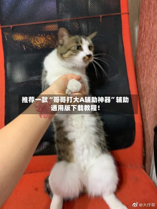 推荐一款“哥哥打大A辅助神器”辅助通用版下载教程！-第3张图片