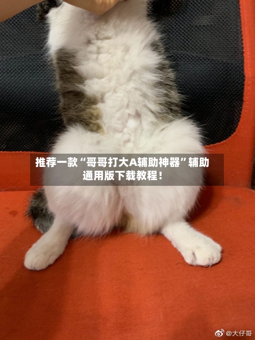 推荐一款“哥哥打大A辅助神器”辅助通用版下载教程！-第2张图片