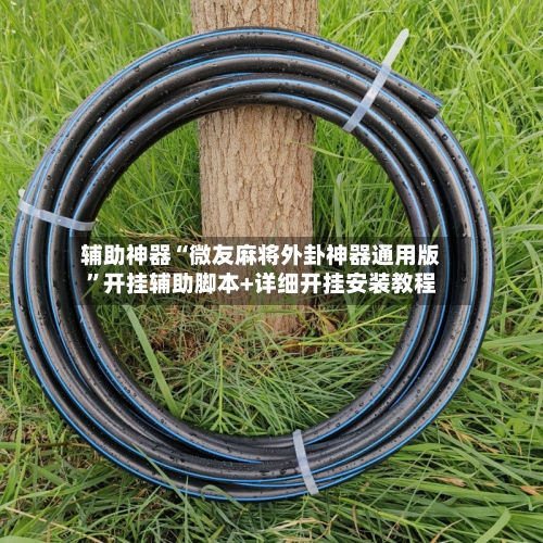 辅助神器“微友麻将外卦神器通用版	”开挂辅助脚本+详细开挂安装教程-第3张图片