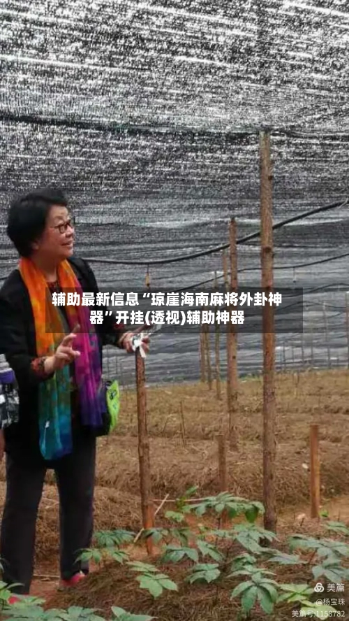 辅助最新信息“琼崖海南麻将外卦神器”开挂(透视)辅助神器-第2张图片