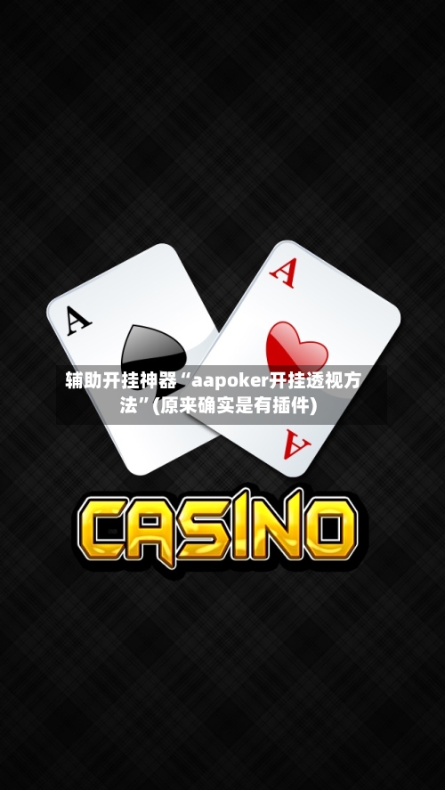 辅助开挂神器“aapoker开挂透视方法”(原来确实是有插件)-第2张图片
