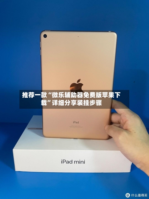 推荐一款“微乐辅助器免费版苹果下载”详细分享装挂步骤