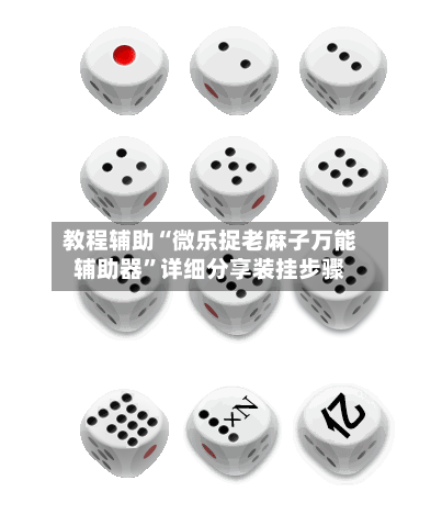 教程辅助“微乐捉老麻子万能辅助器”详细分享装挂步骤-第2张图片