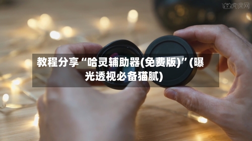 教程分享“哈灵辅助器(免费版)	”(曝光透视必备猫腻)-第2张图片