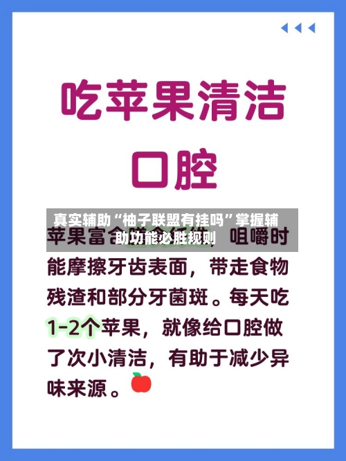 真实辅助“柚子联盟有挂吗”掌握辅助功能必胜规则-第2张图片