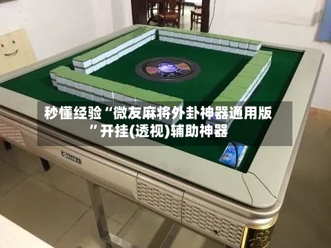 秒懂经验“微友麻将外卦神器通用版”开挂(透视)辅助神器-第3张图片