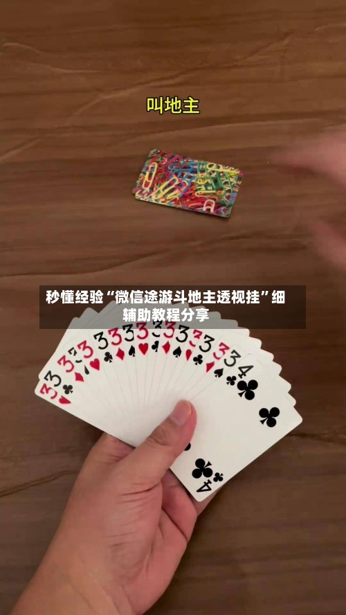 秒懂经验“微信途游斗地主透视挂”细辅助教程分享