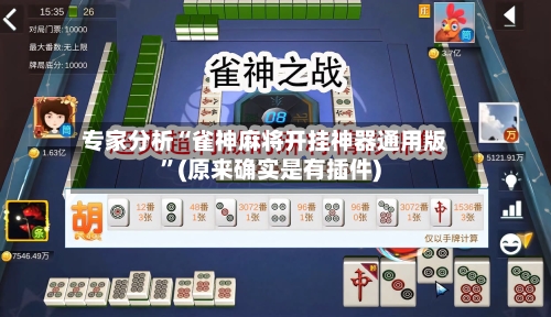 专家分析“雀神麻将开挂神器通用版”(原来确实是有插件)-第2张图片