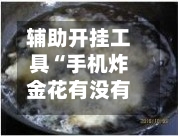 辅助开挂工具“手机炸金花有没有挂”详细外挂透视辅助软件教程