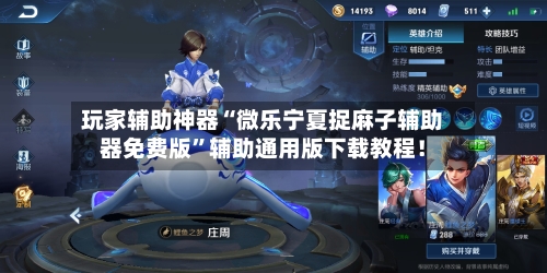 玩家辅助神器“微乐宁夏捉麻子辅助器免费版”辅助通用版下载教程！-第2张图片