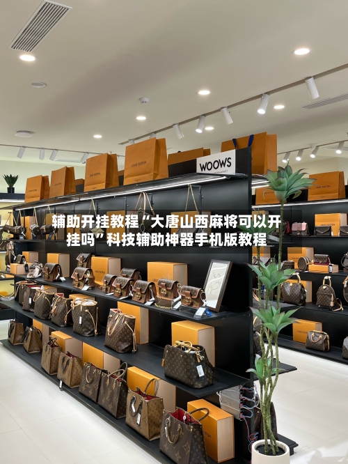 辅助开挂教程“大唐山西麻将可以开挂吗”科技辅助神器手机版教程