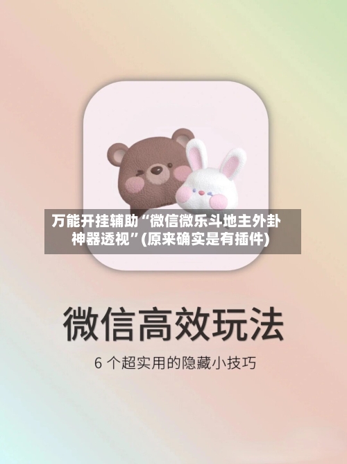 万能开挂辅助“微信微乐斗地主外卦神器透视”(原来确实是有插件)-第2张图片