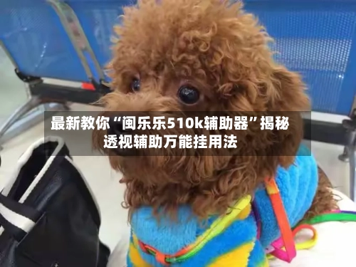 最新教你“闽乐乐510k辅助器	”揭秘透视辅助万能挂用法-第2张图片