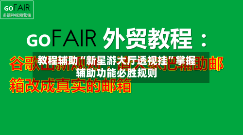 教程辅助“新星游大厅透视挂”掌握辅助功能必胜规则