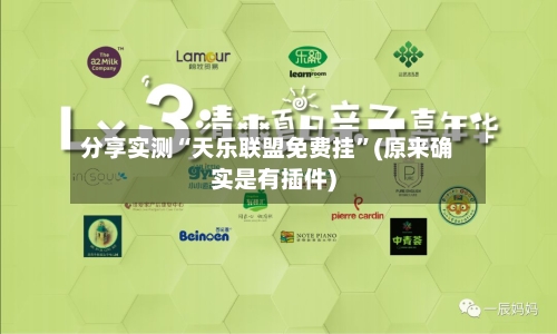 分享实测“天乐联盟免费挂”(原来确实是有插件)-第3张图片