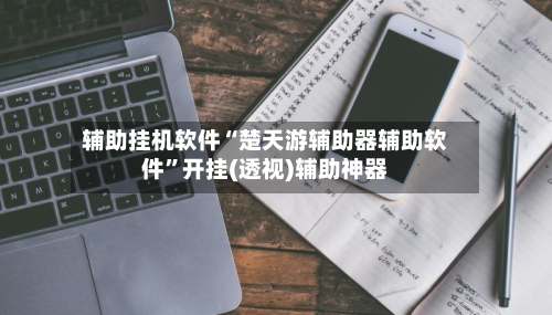 辅助挂机软件“楚天游辅助器辅助软件”开挂(透视)辅助神器