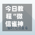 今日教程“微信雀神广东麻将开挂神器”科技辅助神器手机版教程-第2张图片