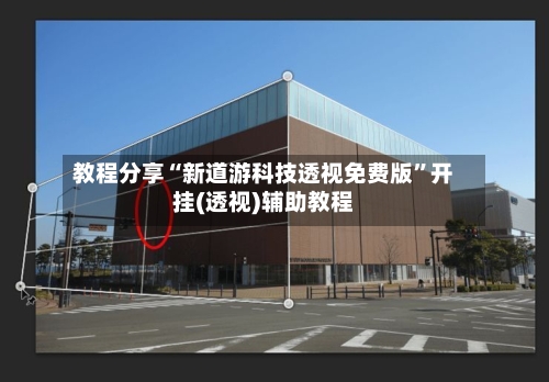 教程分享“新道游科技透视免费版”开挂(透视)辅助教程-第3张图片