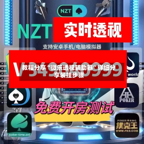教程分享“微乐透视辅助器	”详细分享装挂步骤-第2张图片