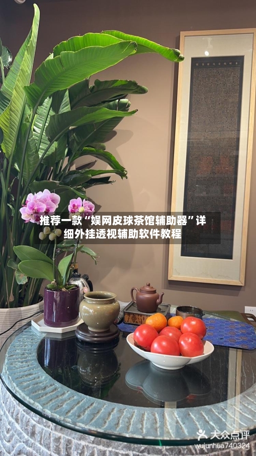 推荐一款“娱网皮球茶馆辅助器”详细外挂透视辅助软件教程-第3张图片