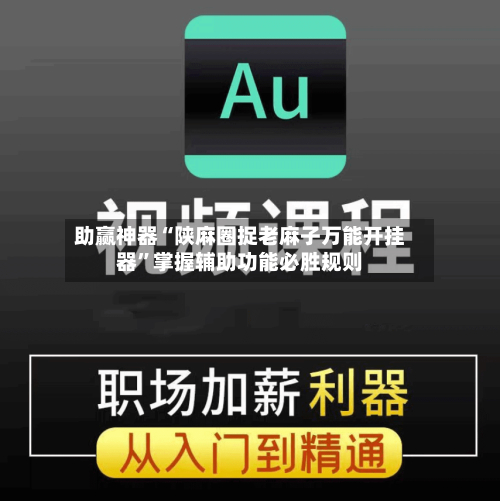 助赢神器“陕麻圈捉老麻子万能开挂器”掌握辅助功能必胜规则-第2张图片