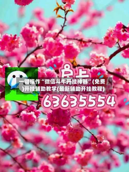 一键操作“微信斗牛开挂神器”(免费)开挂辅助教学(最新辅助开挂教程)-第3张图片