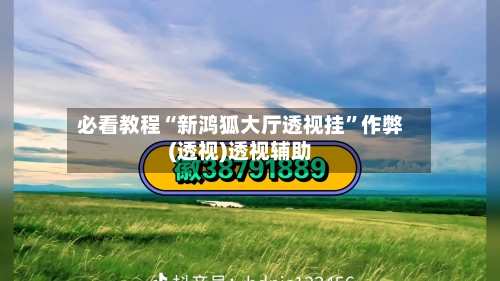 必看教程“新鸿狐大厅透视挂”作弊(透视)透视辅助-第2张图片