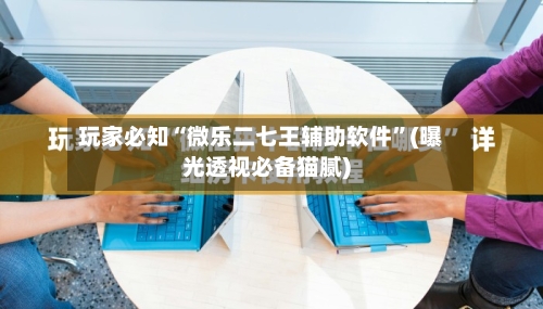 玩家必知“微乐二七王辅助软件”(曝光透视必备猫腻)-第2张图片