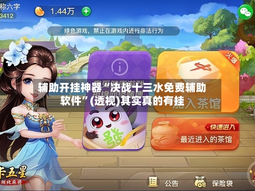 辅助开挂神器“决战十三水免费辅助软件”(透视)其实真的有挂-第2张图片