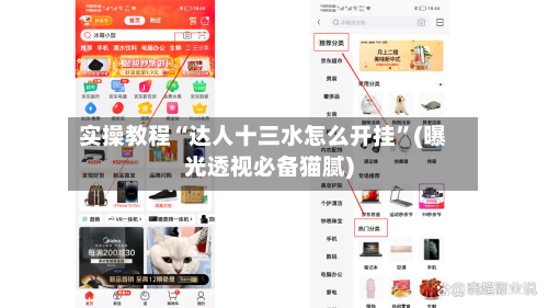 实操教程“达人十三水怎么开挂”(曝光透视必备猫腻)-第2张图片