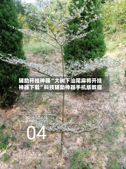 辅助开挂神器“大树下汕尾麻将开挂神器下载”科技辅助神器手机版教程
