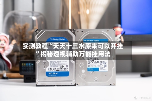 实测教程“天天十三水原来可以开挂”揭秘透视辅助万能挂用法-第3张图片