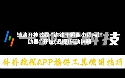 辅助开挂教程“边锋干瞪眼小程序辅助器”开挂(透视)辅助神器-第2张图片