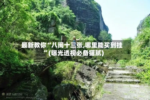 最新教你“八闽十三张,哪里能买到挂”(曝光透视必备猫腻)-第2张图片
