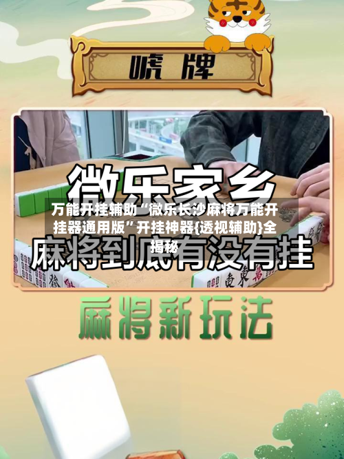 万能开挂辅助“微乐长沙麻将万能开挂器通用版”开挂神器{透视辅助}全揭秘-第3张图片